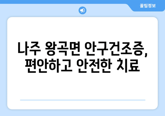전라남도 나주시 왕곡면 안구건조증 안과 추천 잘하는 곳 총정리