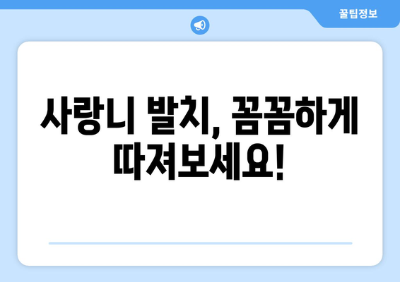 제주도 제주시 일도1동 사랑니 발치 치과 가격 비용 잘하는 곳 추천 BEST 10 비교 가이드