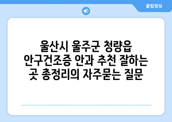 울산시 울주군 청량읍 안구건조증 안과 추천 잘하는 곳 총정리