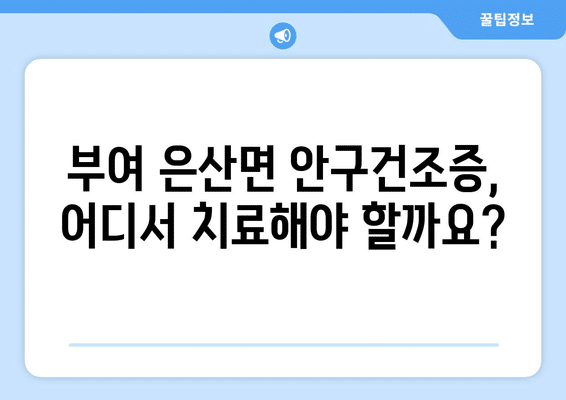 충청남도 부여군 은산면 안구건조증 안과 추천 잘하는 곳 총정리