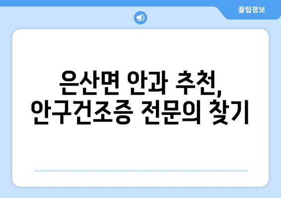 충청남도 부여군 은산면 안구건조증 안과 추천 잘하는 곳 총정리