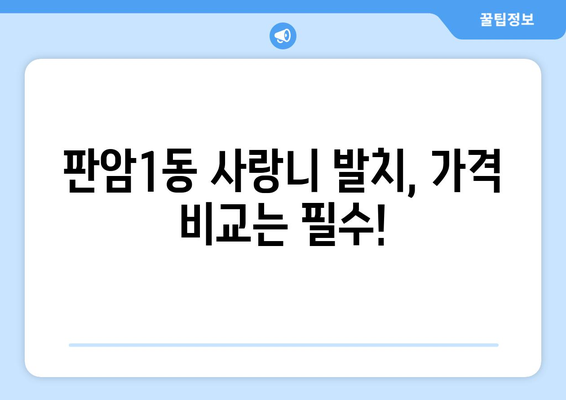 대전시 동구 판암1동 사랑니 발치 치과 가격 비용 잘하는 곳 추천 BEST 10 비교 가이드