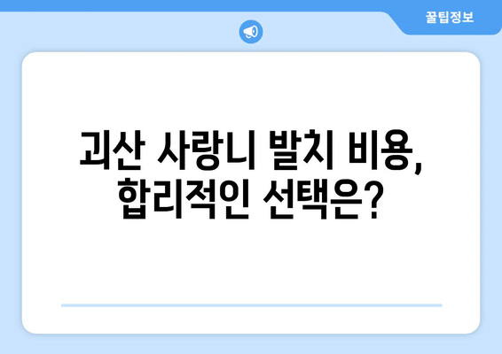 충청북도 괴산군 괴산읍 사랑니 발치 치과 가격 비용 잘하는 곳 추천 BEST 10 비교 가이드