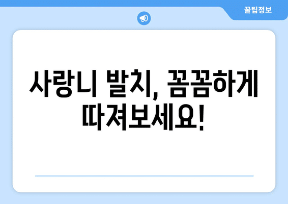 광주시 서구 농성1동 사랑니 발치 치과 가격 비용 잘하는 곳 추천 BEST 10 비교 가이드