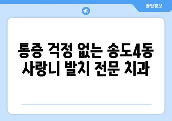 인천시 연수구 송도4동 사랑니 발치 치과 가격 비용 잘하는 곳 추천 BEST 10 비교 가이드