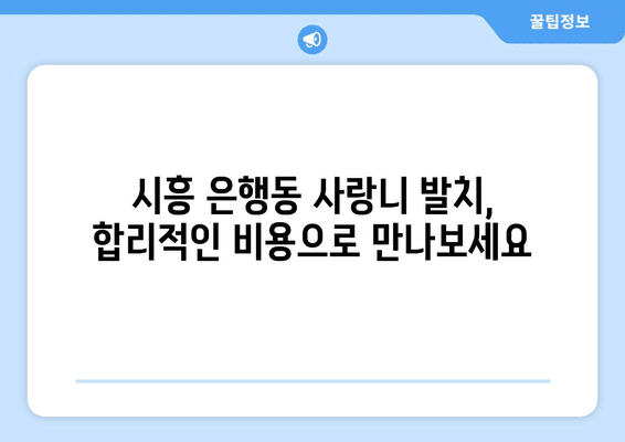 경기도 시흥시 은행동 사랑니 발치 치과 가격 비용 잘하는 곳 추천 BEST 10 비교 가이드