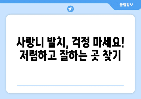 광주시 서구 금호2동 사랑니 발치 치과 가격 비용 잘하는 곳 추천 BEST 10 비교 가이드