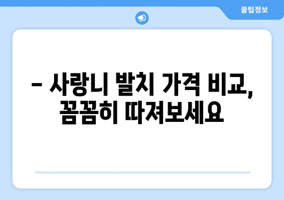 광주시 서구 유덕동 사랑니 발치 치과 가격 비용 잘하는 곳 추천 BEST 10 비교 가이드