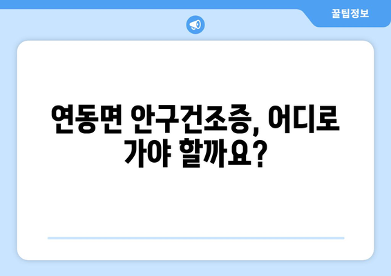 세종시 세종특별자치시 연동면 안구건조증 안과 추천 잘하는 곳 총정리