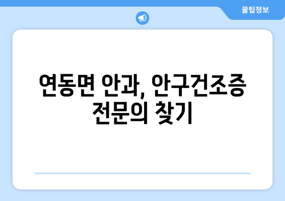 세종시 세종특별자치시 연동면 안구건조증 안과 추천 잘하는 곳 총정리