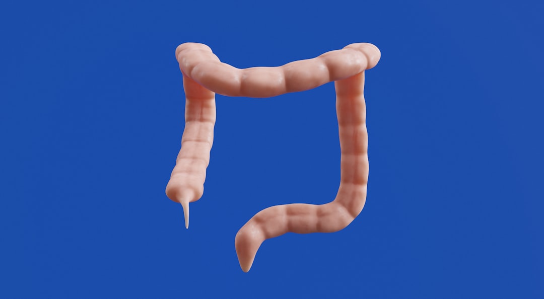 건강/의료 정보