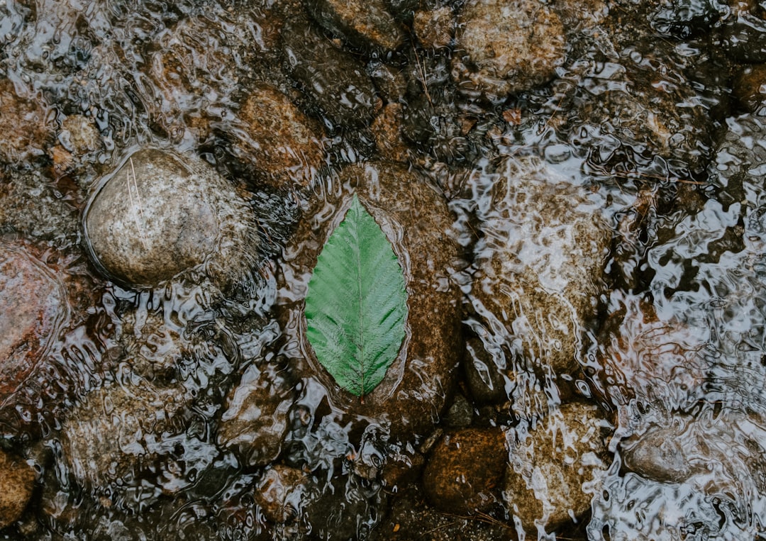 건강/의료 정보