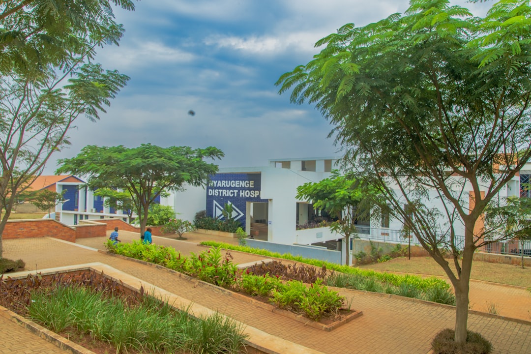 골다공증 예방 음식 가이드