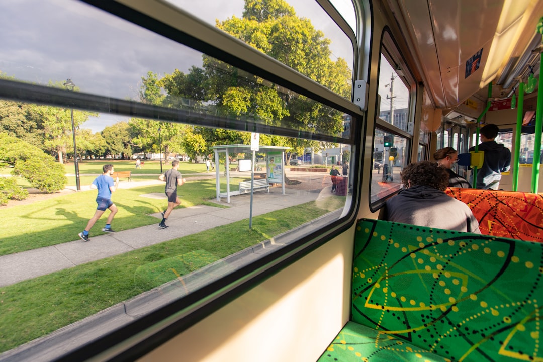 건강/의료 정보