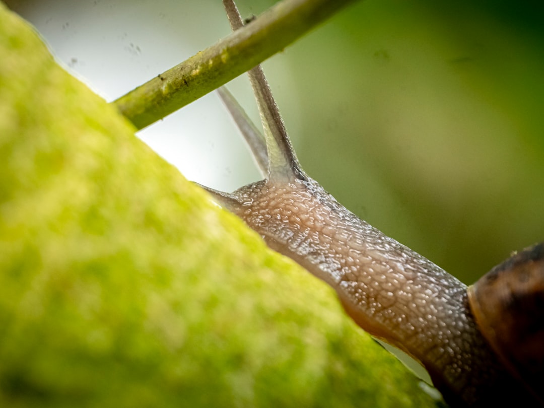 건강/의료 정보