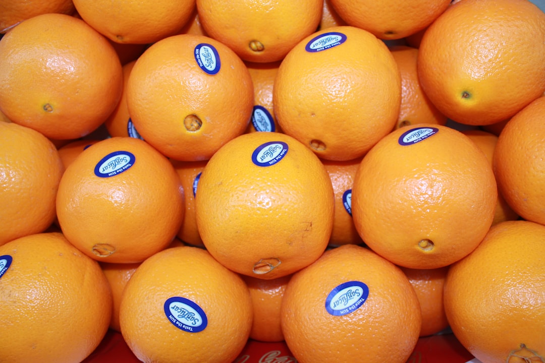 콜레스테롤 낮추는 음식 가이드